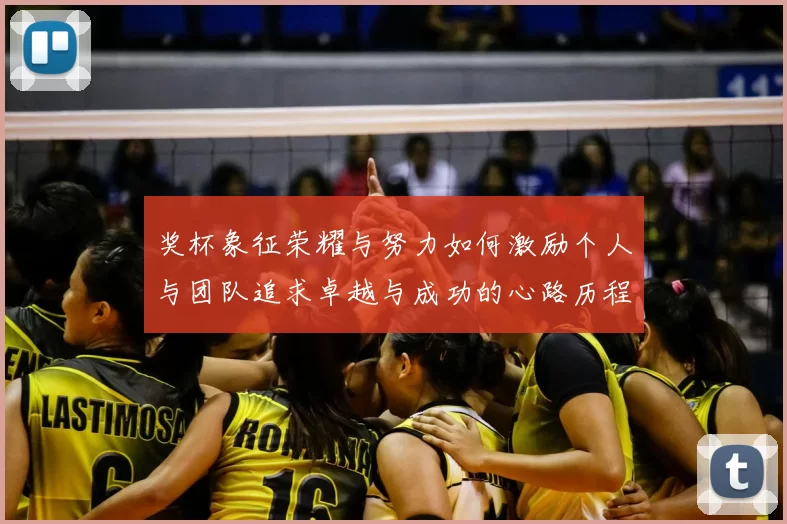 奖杯象征荣耀与努力如何激励个人与团队追求卓越与成功的心路历程
