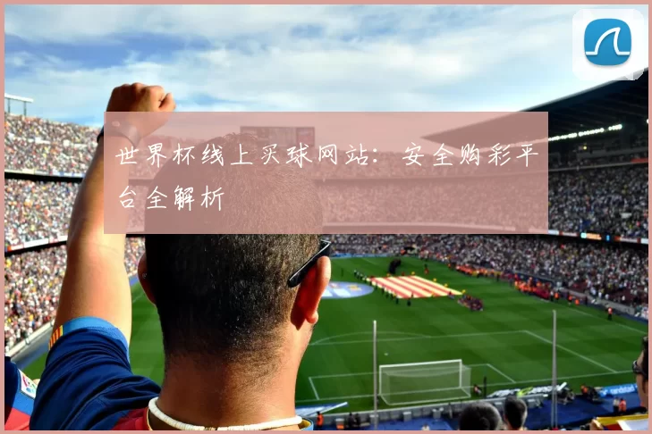 世界杯线上买球网站:安全购彩平台全解析