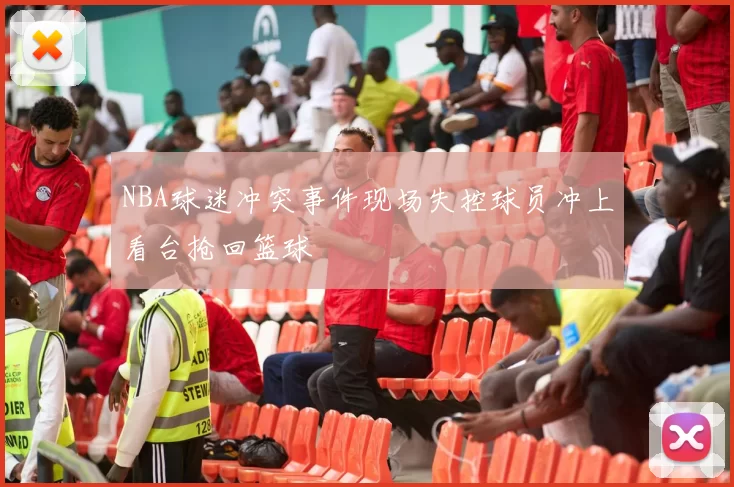 NBA球迷冲突事件现场失控球员冲上看台抢回篮球
