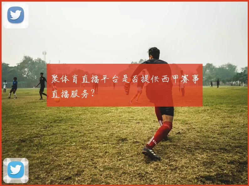 聚体育直播平台是否提供西甲赛事直播服务？