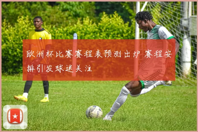 欧洲杯比赛赛程表预测出炉 赛程安排引发球迷关注