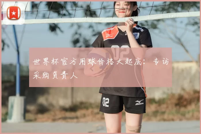 世界杯官方用球价格大起底：专访采购负责人