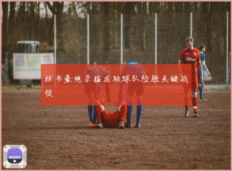 林书豪绝杀猛龙助球队险胜关键战役