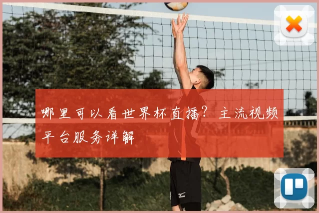哪里可以看世界杯直播？主流视频平台服务详解