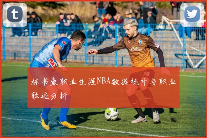 林书豪职业生涯NBA数据统计与职业轨迹分析