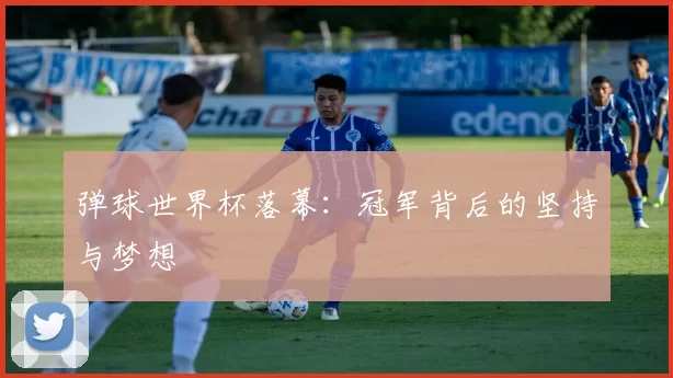 弹球世界杯落幕:冠军背后的坚持与梦想