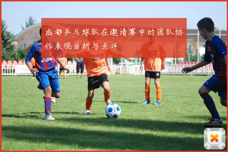 成都乒乓球队在邀请赛中的团队协作表现分析与点评