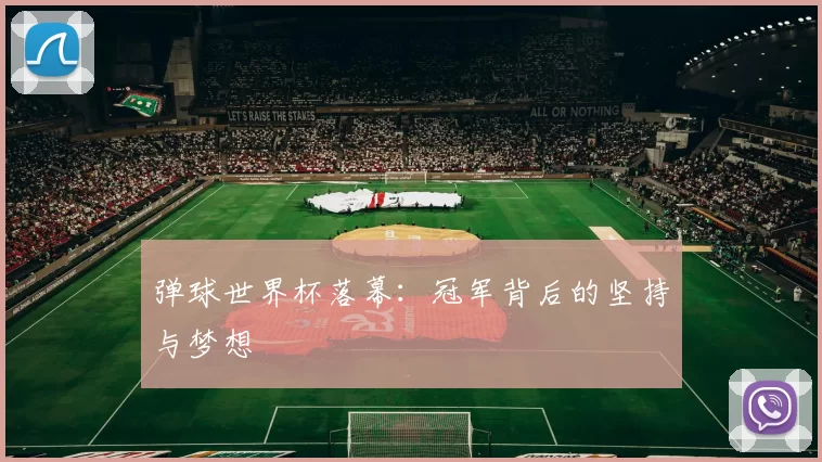 弹球世界杯落幕:冠军背后的坚持与梦想