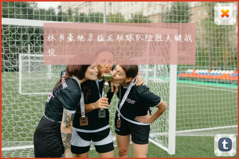 林书豪绝杀猛龙助球队险胜关键战役