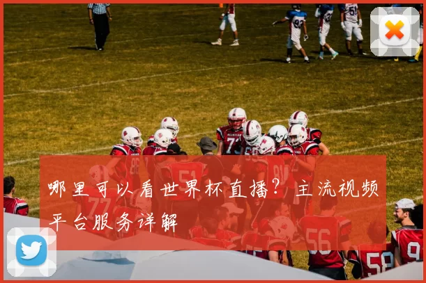 哪里可以看世界杯直播?主流视频平台服务详解