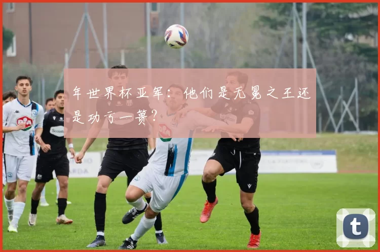 年世界杯亚军:他们是无冕之王还是功亏一篑?